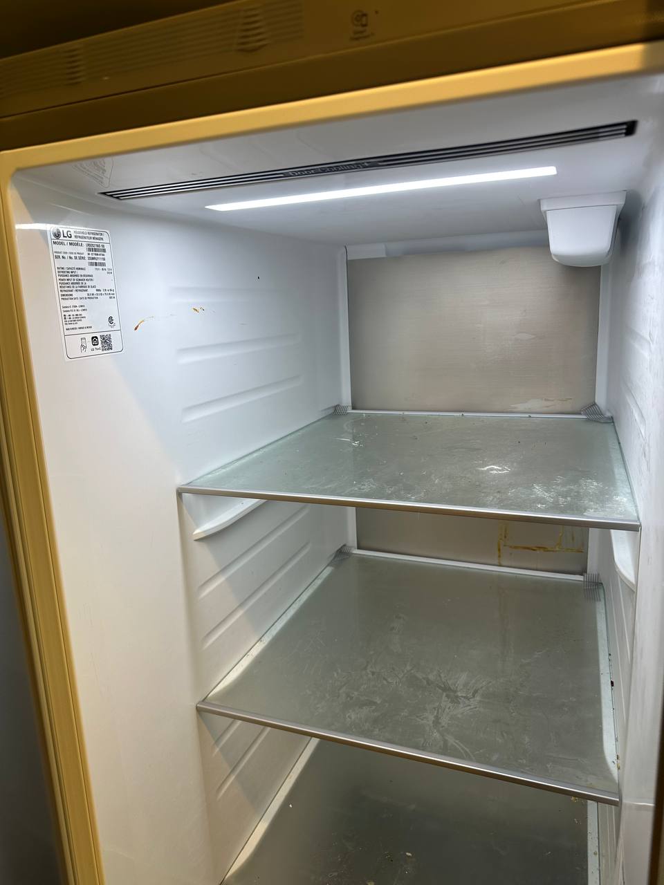 Refrigerator Deep Clean — before