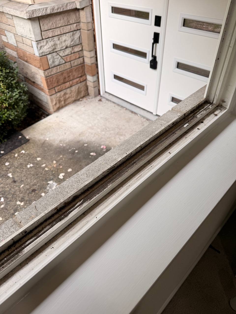 Window Cleaning — before